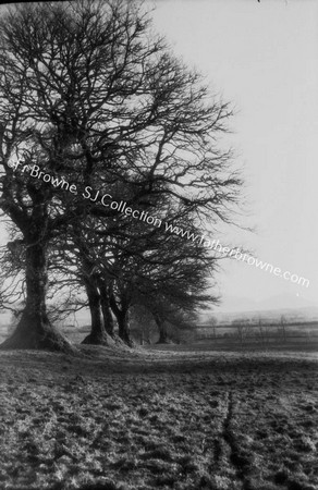 MOOREFORT IN PARK GALTEES FROM HILL